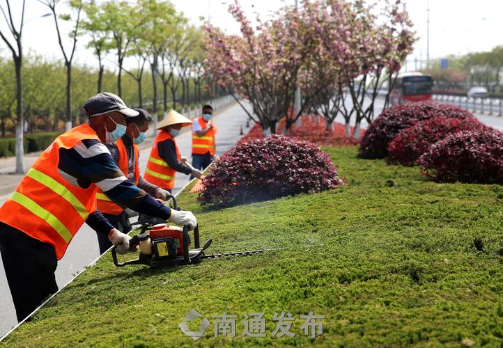 青島云濤綠化工程 青島云濤綠化工程