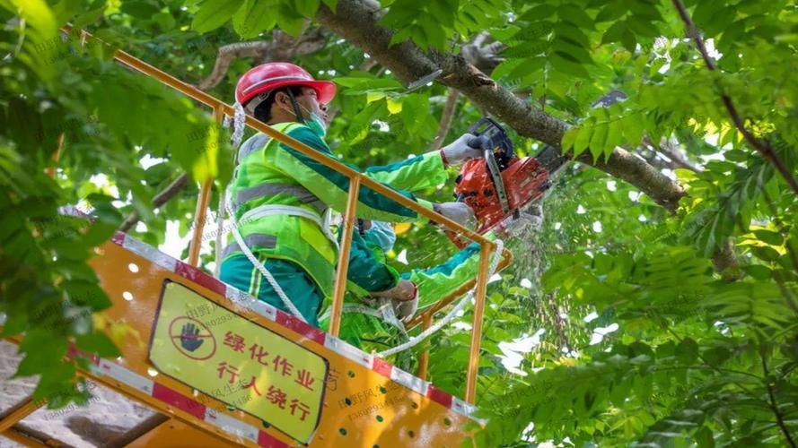 工地路上綠化工程施工方案