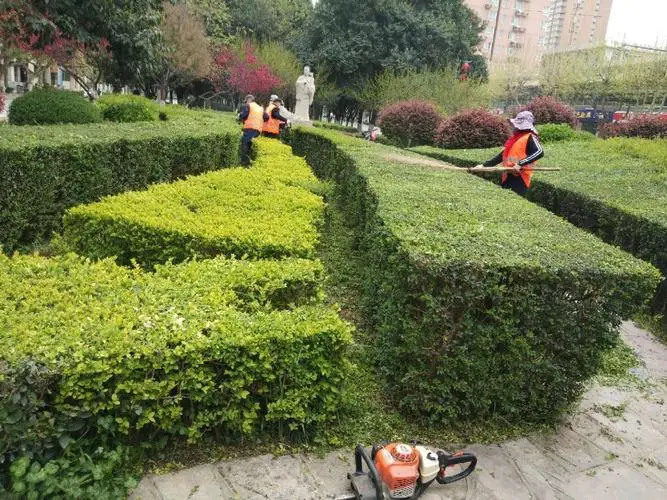 簡陽附近邊坡綠化工程項目