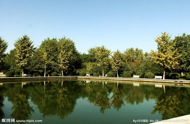園林管理處問題嚴(yán)重，文明花園變成亂堆垃圾場，環(huán)衛(wèi)到底在哪兒？